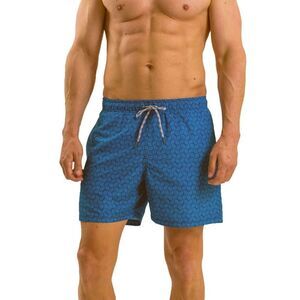 RIPT Essentials Mens Swirl Print Swim Shorts / Blue